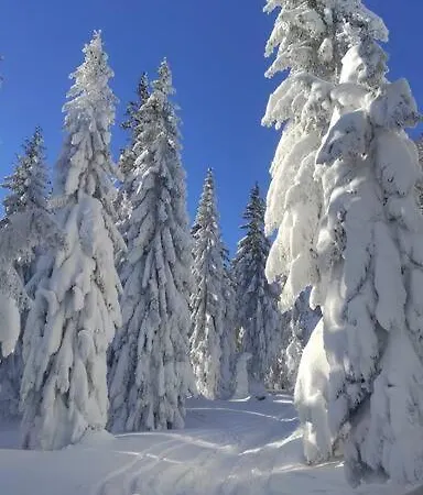 Beskidzka Stodola Przy Szlaku Z Pieknym Widokiem Zlatna Exterior photo