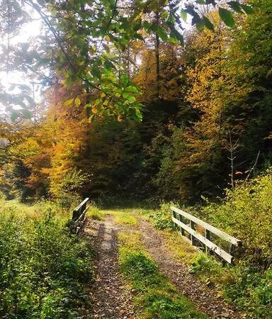 Beskidzka Stodola Przy Szlaku Z Pieknym Widokiem Zlatna Exterior photo